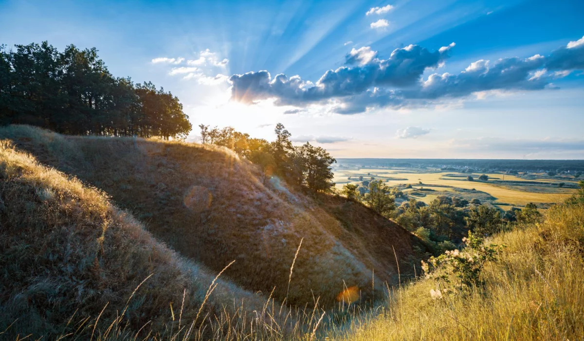 Wartość tego jak odchudzić się