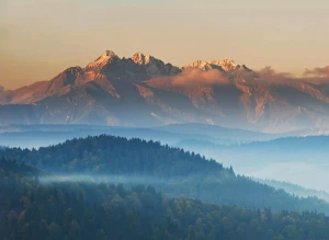 Czy ktoś też lubi kupić komputer?